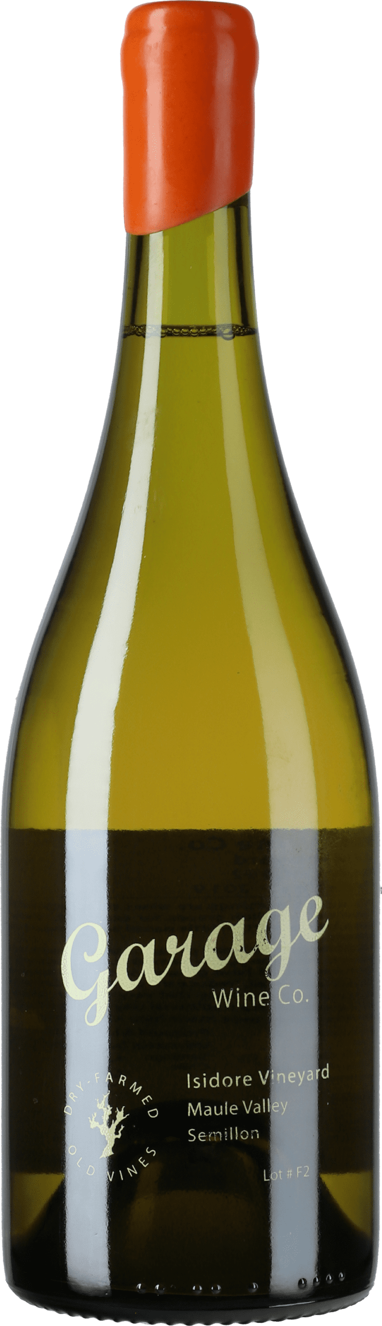 Garage Wine: Isidore Vineyard Semillon 2021