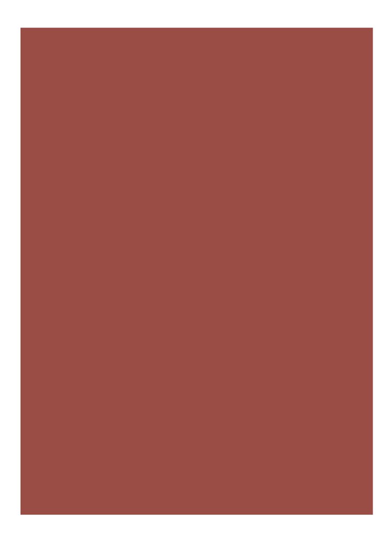 Bobbi Brown Luxe -huulipuna