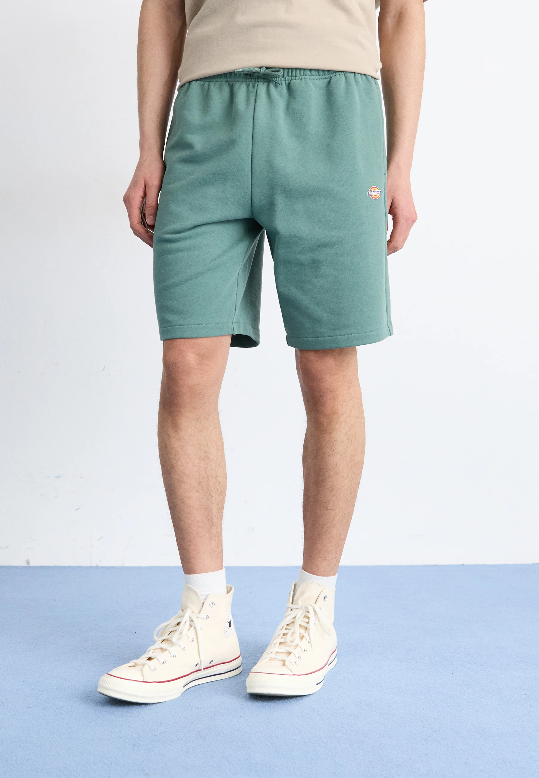 Dickies MAPLETON - Pantalones cortos