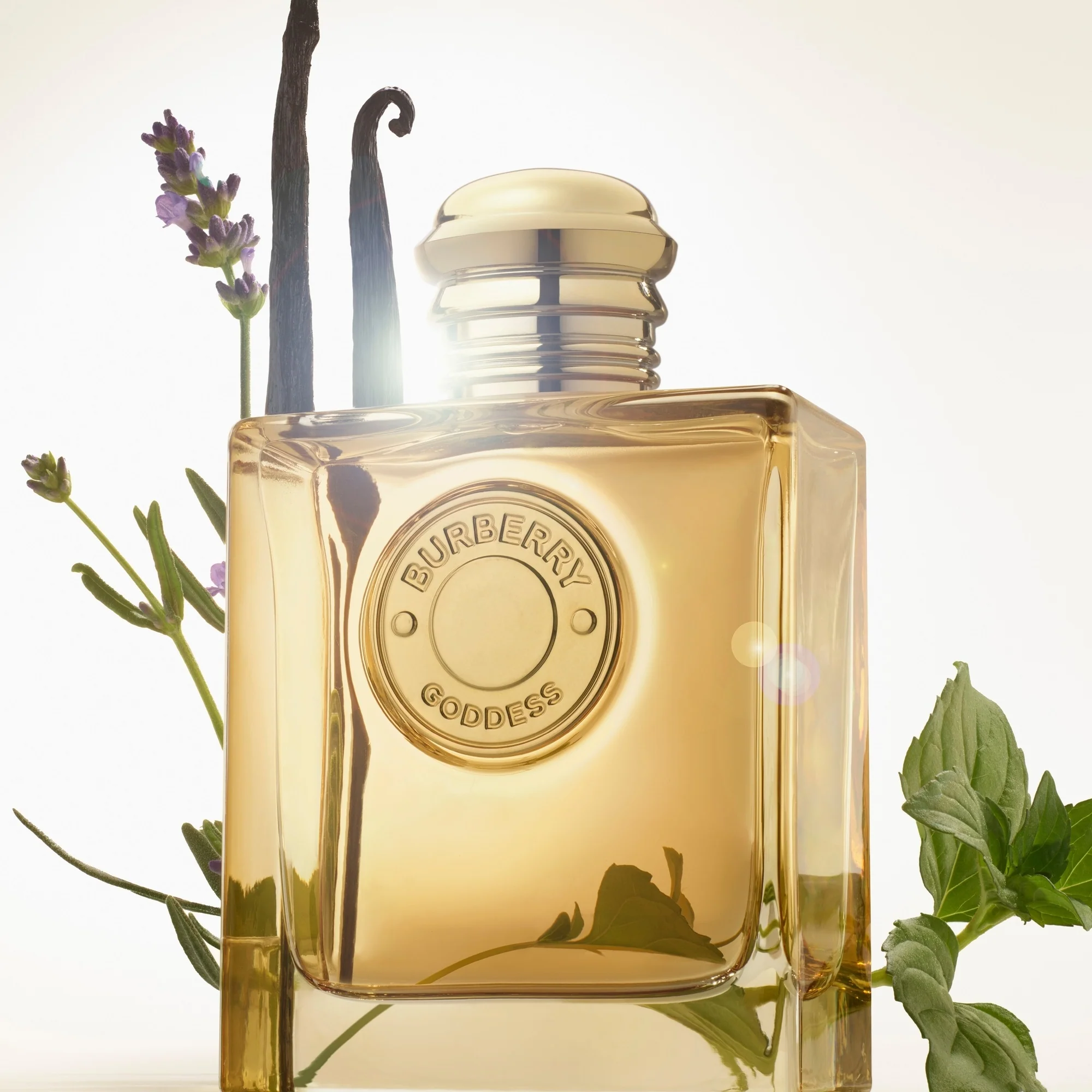 Burberry Diosa Intensa - Eau de Parfum