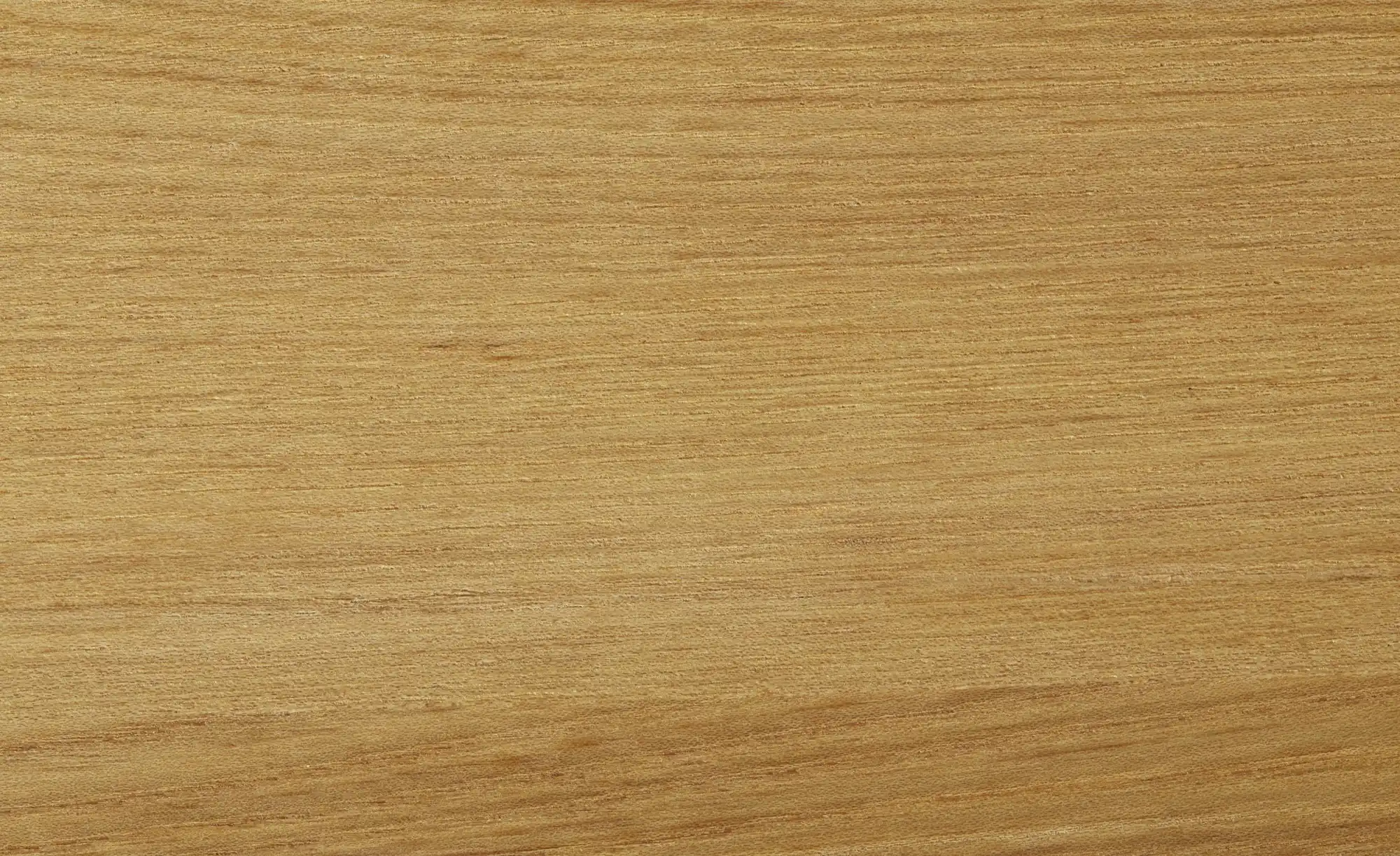 TV-Board