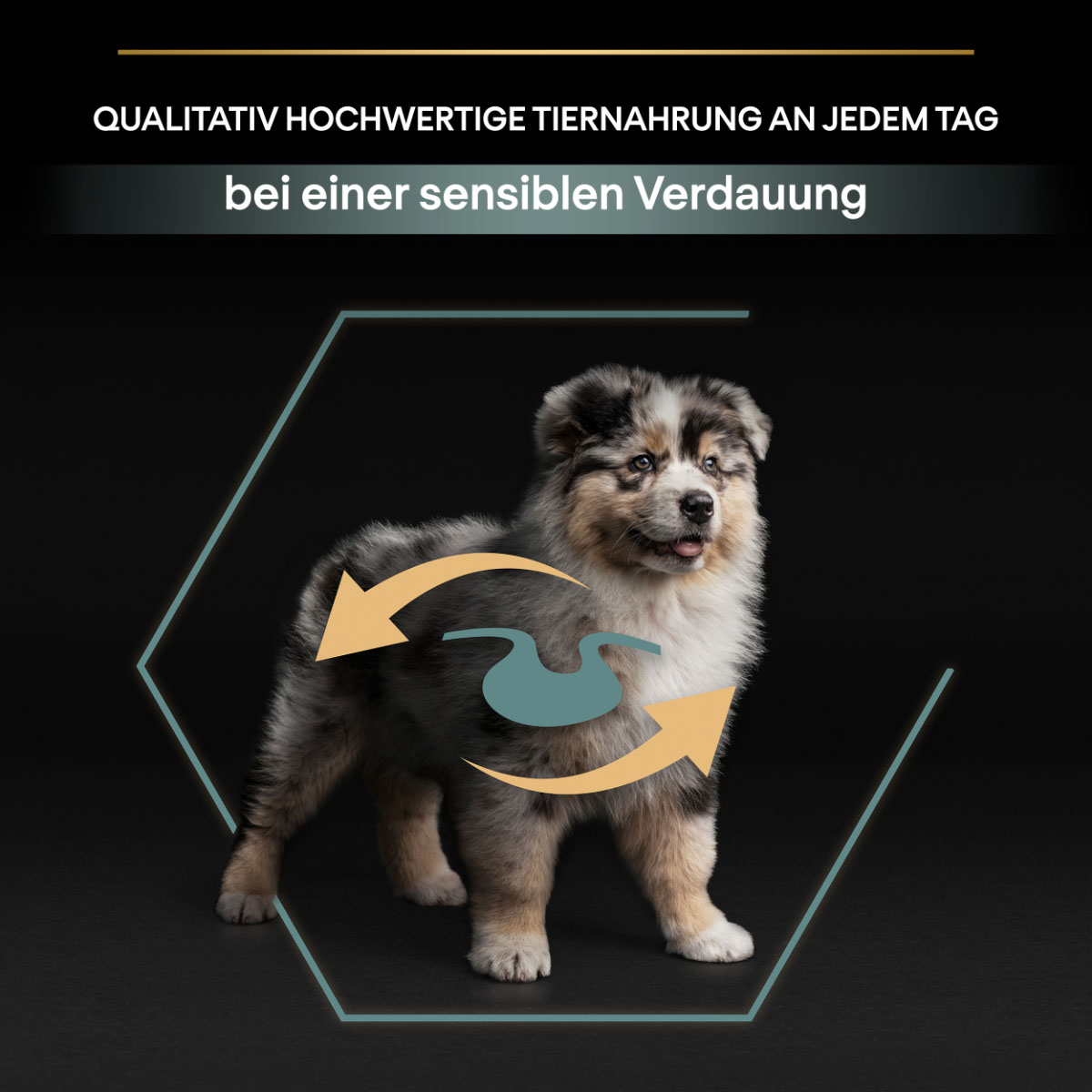PRO PLAN Medium Puppy Sensitive Digestion Lamm bei ZooRoyal