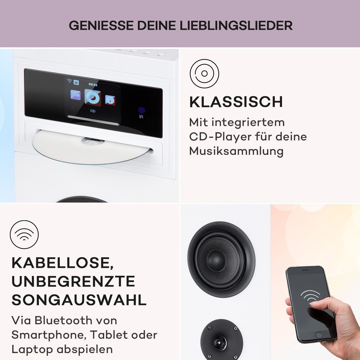 Auna Karaboom 100 Wifi Lautsprecher (Bluetooth;WLAN, 60 W)