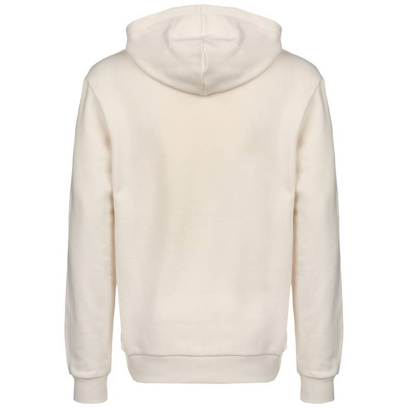 PUMA BVB Dortmund FtblFeat Hoodie Herren