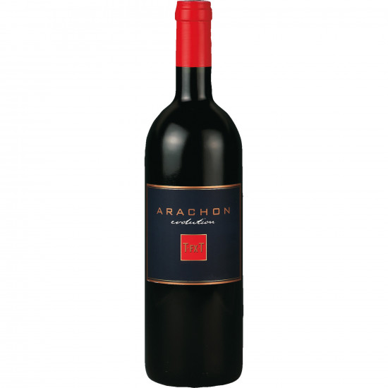 2019 Arachon Evolution T FX T trocken - Weingut Tement