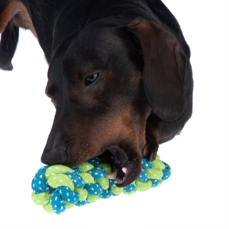 Hundespielzeug Limoen Stick zu TOP-Preisen