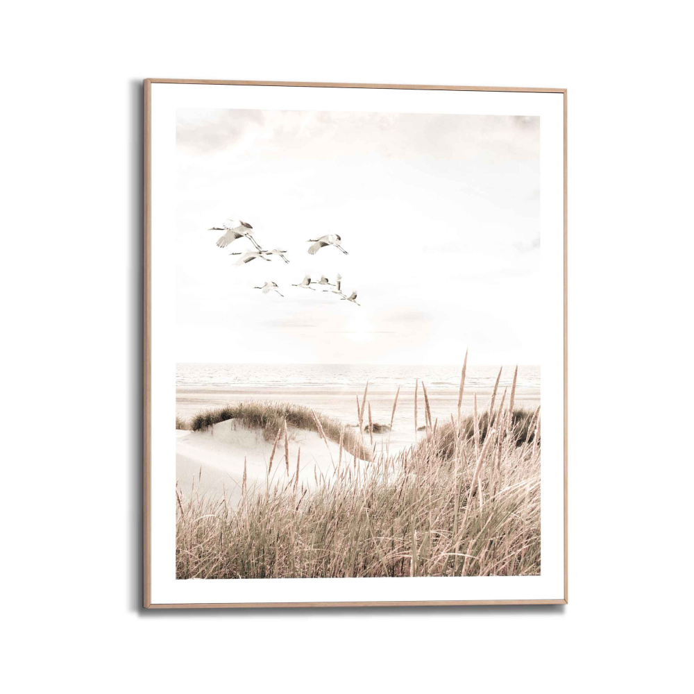 Rahmenbild Botanical Beach
