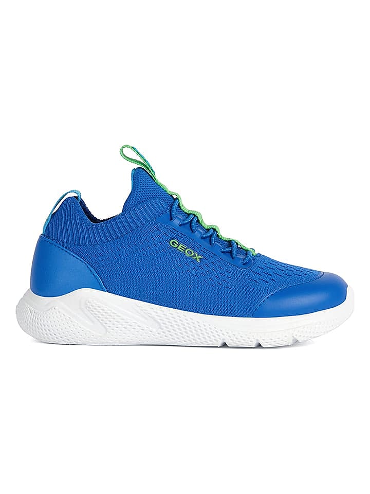 Geox Sneakers 