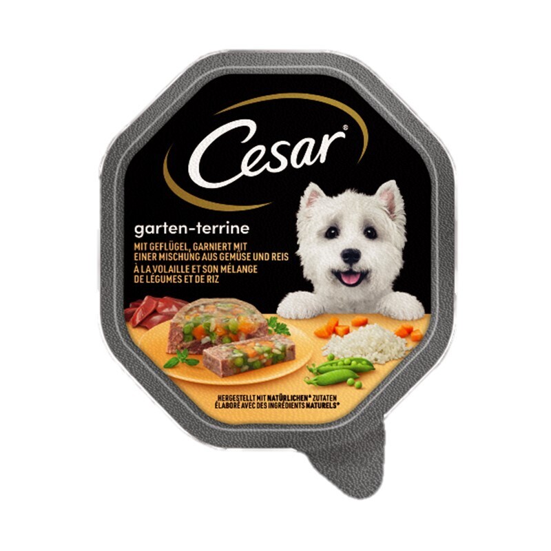 Cesar Hundenassfutter Cesar Garten-Terrine 14x150g Geflügel, Gemüse & Reis