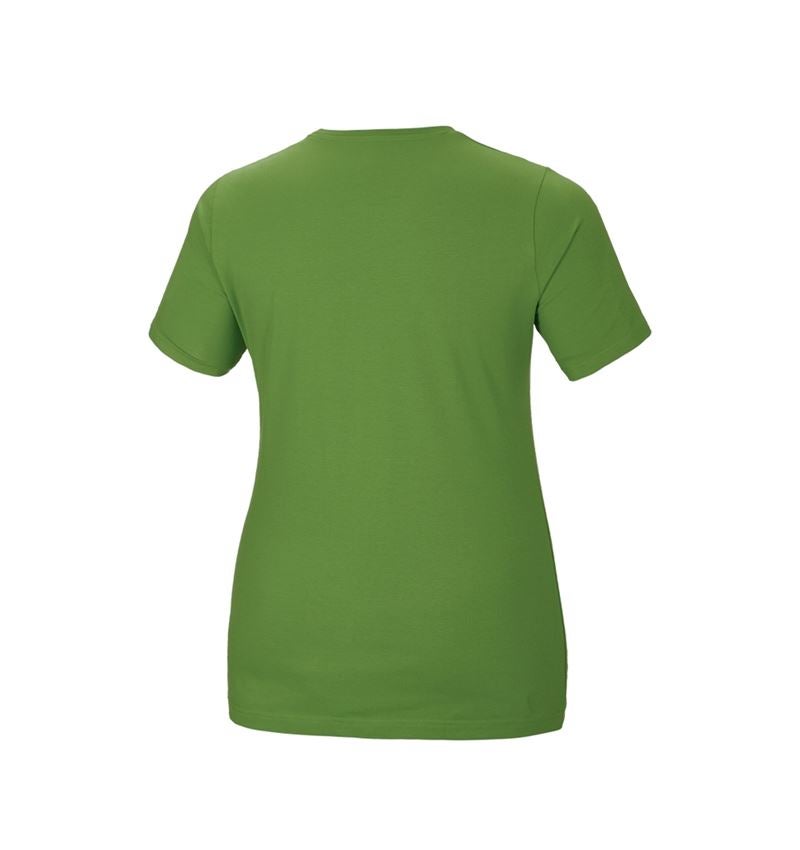 e.s. T-Shirt cotton stretch, Damen, plus fit