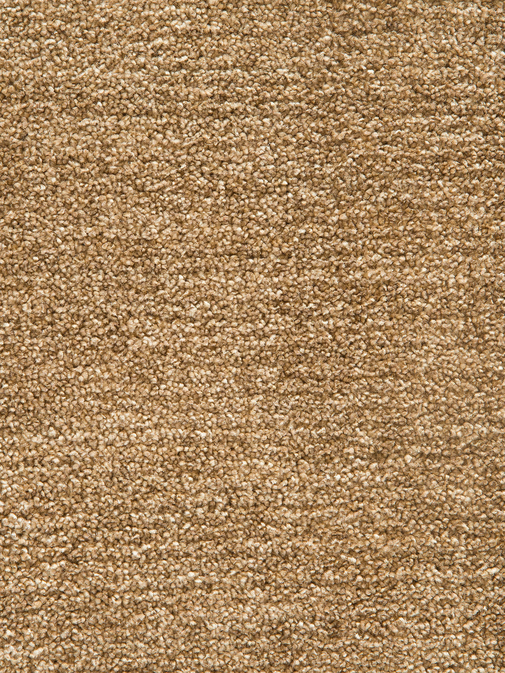 Barinas Hochflor-Teppich, Gold
