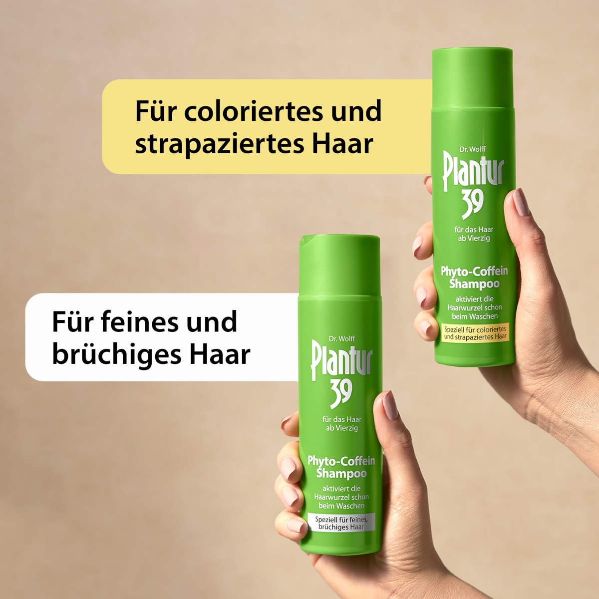 Shampoo Phyto-Coffein Coloriertes & Strapaziertes Haar, 250 ml