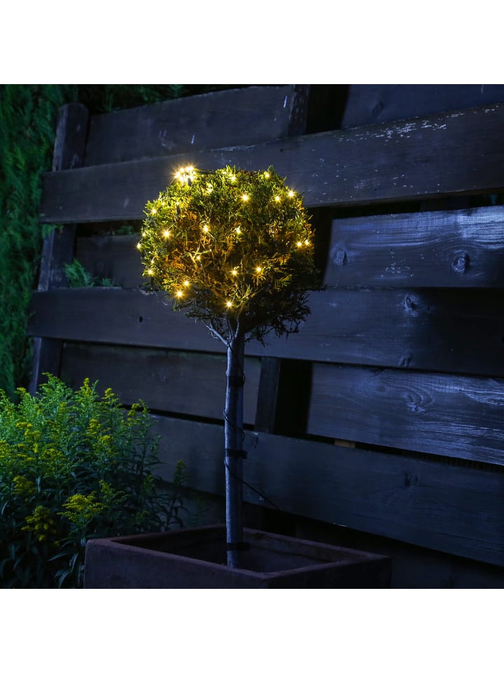 MARELIDA LED Lichternetz für Buchsbaum mit Blinkfunktion D: 50cm in transparent günstig kaufen onesize