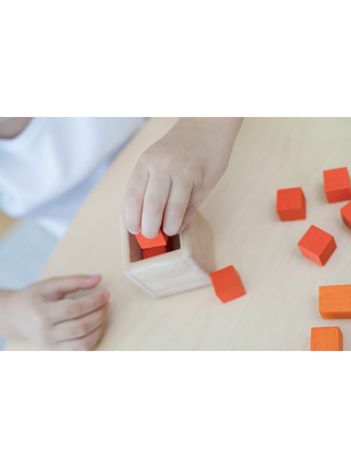 Plan Toys Essential Serie: Knobelwürfel ab 18 Monate günstig kaufen onesize