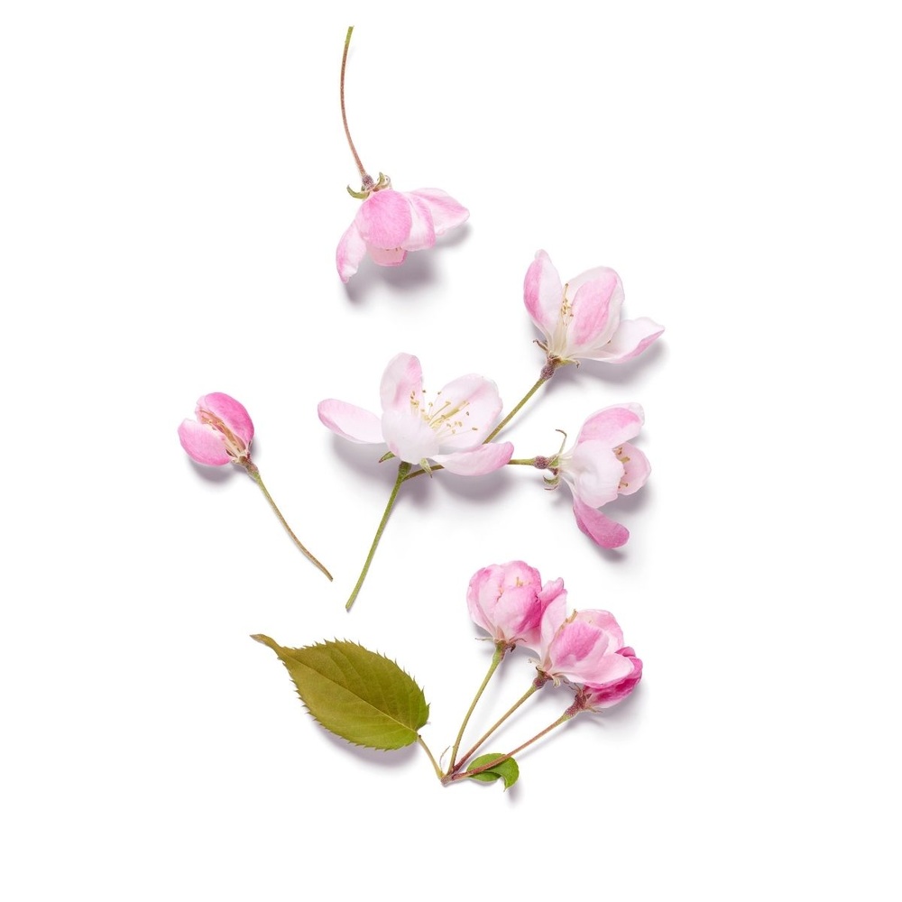 Rituals The Ritual of Sakura Spray anti-transpirant