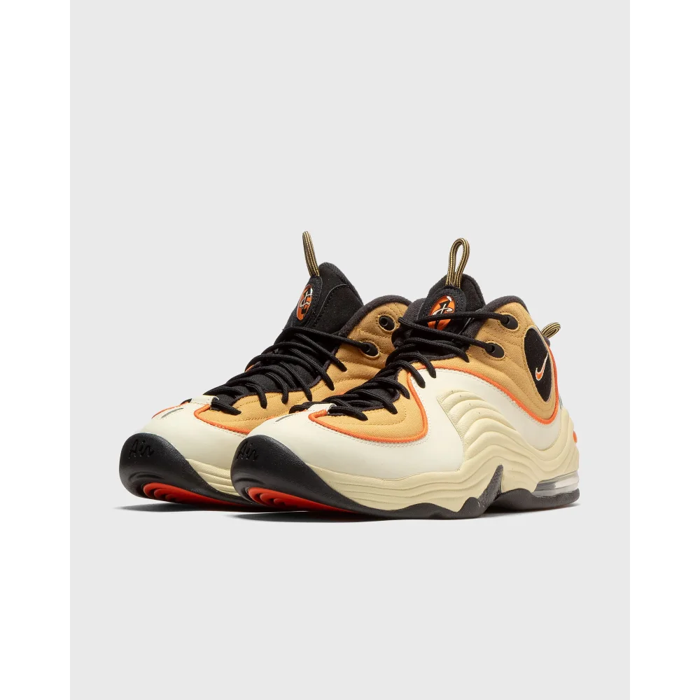 Nike Air Penny 2 DV7229-700 / braun