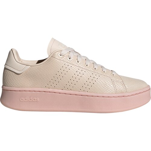 DAMEN TENNISINDOORSCHUHE ADVANTAGE BOLD