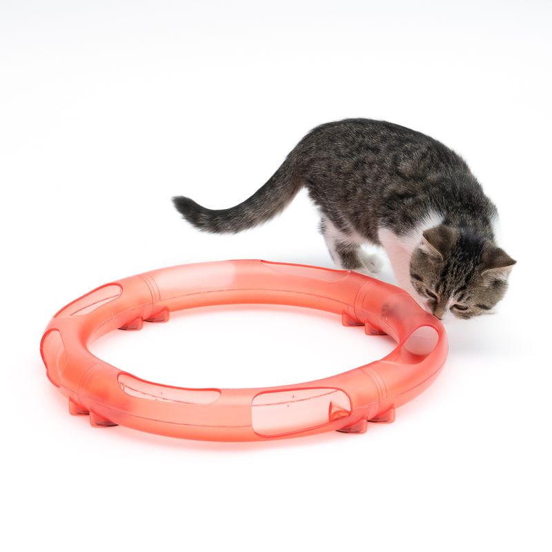 TIAKI Kugelbahn Roundabout für Katzen zu TOP-Preisen | bitiba %