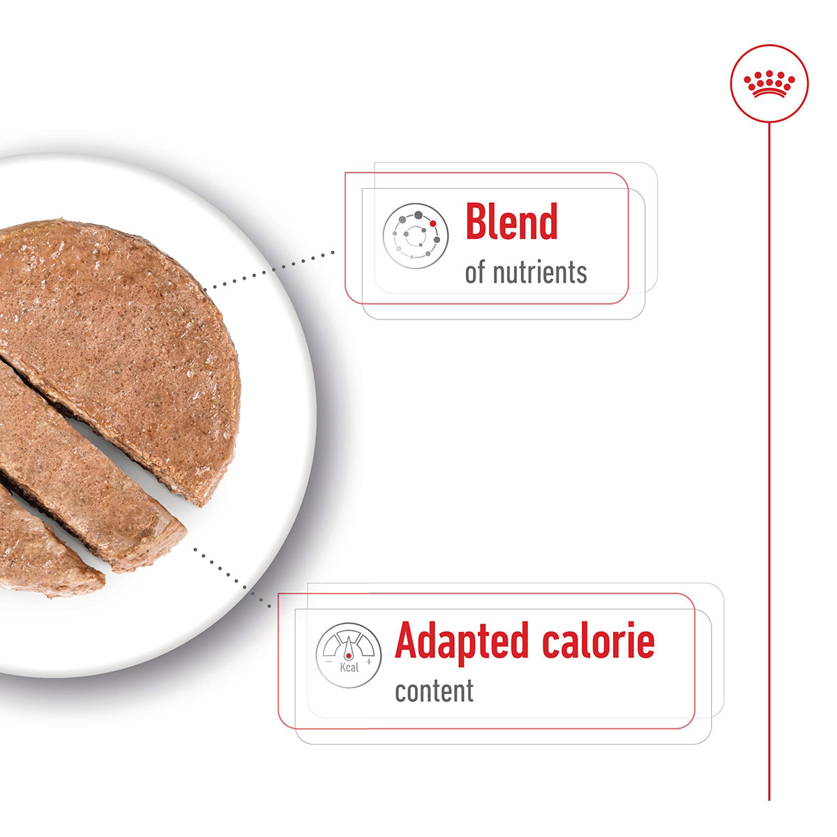 Royal Canin SHN Mini Ageing Loaf Can günstig kaufen bei ZooRoyal