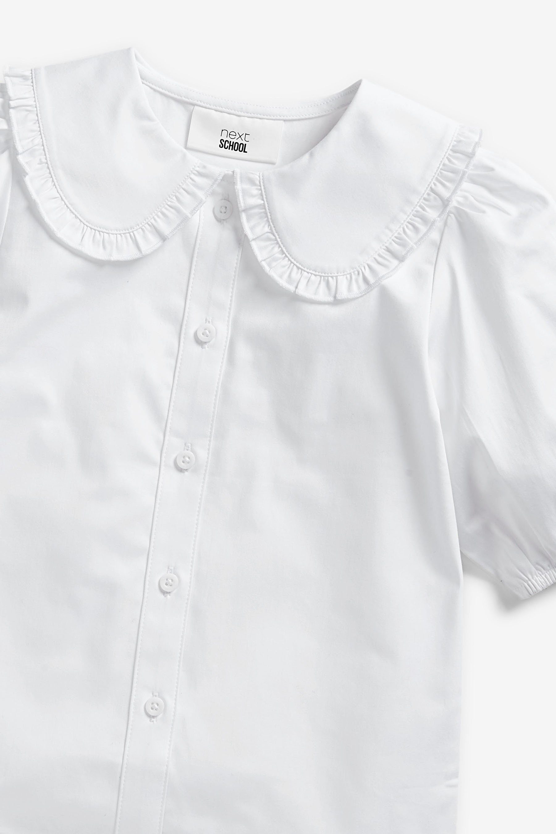 Next Langarmbluse Premium-Bluse mit Baumwolle, Stretch und Kragen (1-tlg)