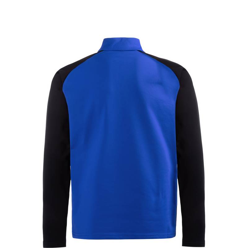 PUMA TeamLIGA 1/4 Zip Funktionssweatshirt Jungen