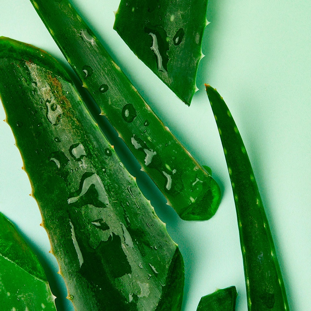 nivea Lingettes  Aloe Vera BIO 100% fibres végétales Lingettes démaquillantes visage&yeux