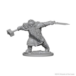 Dwarf Male Fighter: D&D Nolzurs Marvelous Unpainted Minis