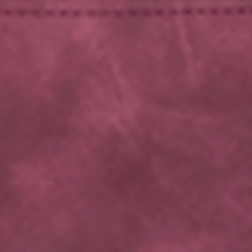 Pochette Nano Agrasen Ki Baoli bordeaux