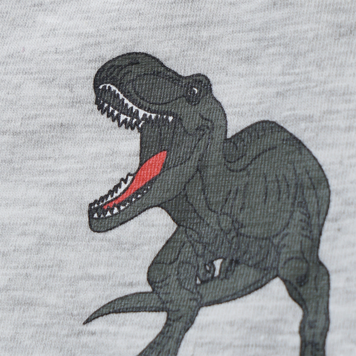3 Jungen Boxer mit Dino-Motiven