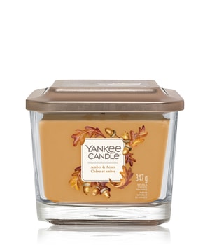 Yankee Candle Amber & Acorn Elevation Duftkerze-347 g