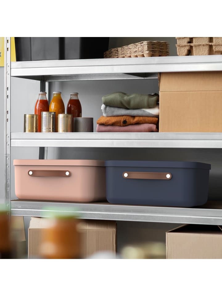 Rotho Aufbewahrungsbox 12 l MALOJA günstig kaufen onesize