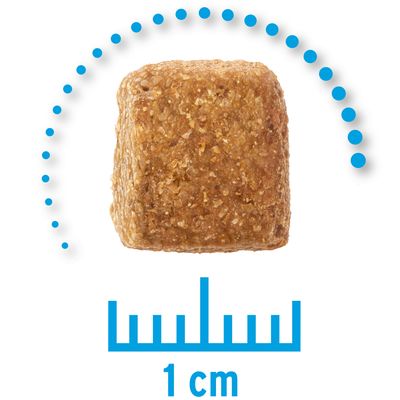 Concept for Life Veterinary Diet Weight Control