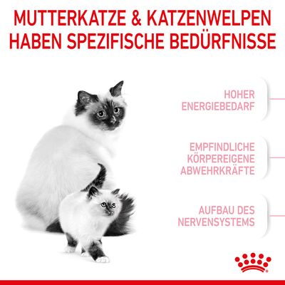 Royal Canin Mother & Babycat