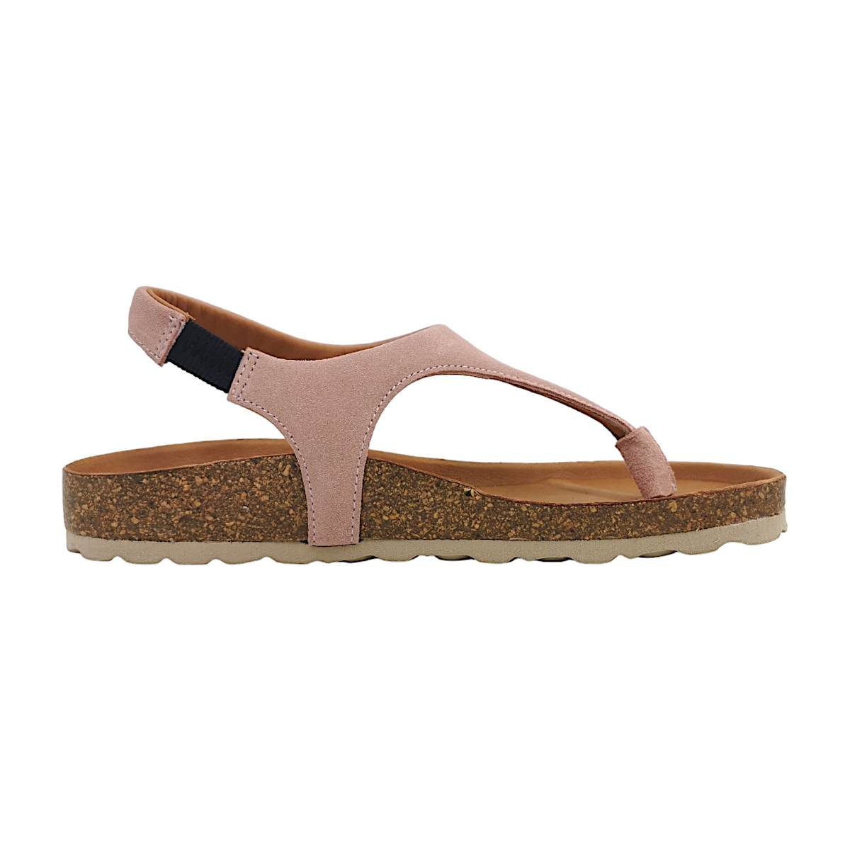 Verbenas Reagan 3301090001 Rosa Antique