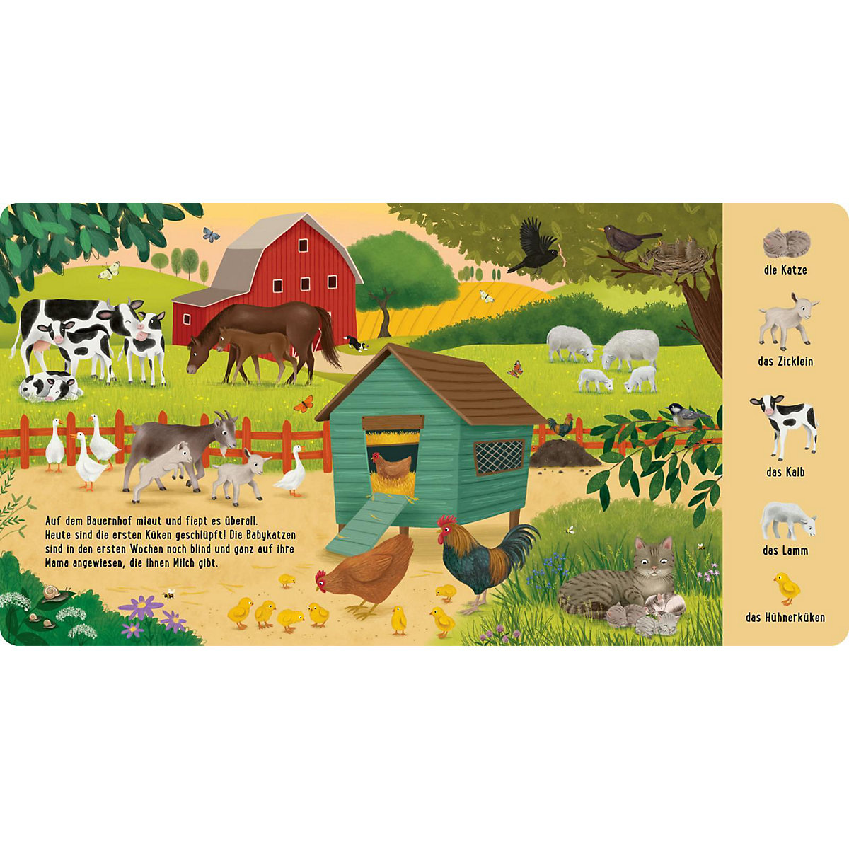 Mein erstes Natur-Wimmelbuch: Bei den Tierkindern