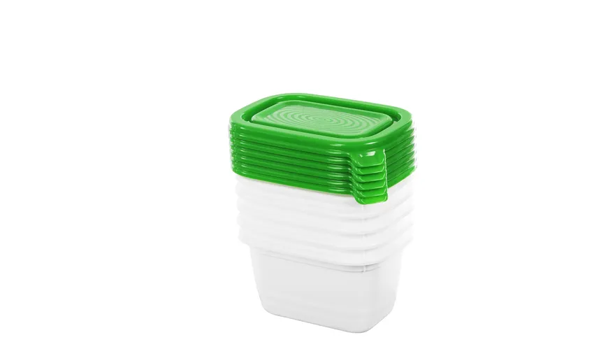 rotho Gefrierdosen Set DOMINO 6-tlg. 0,25l