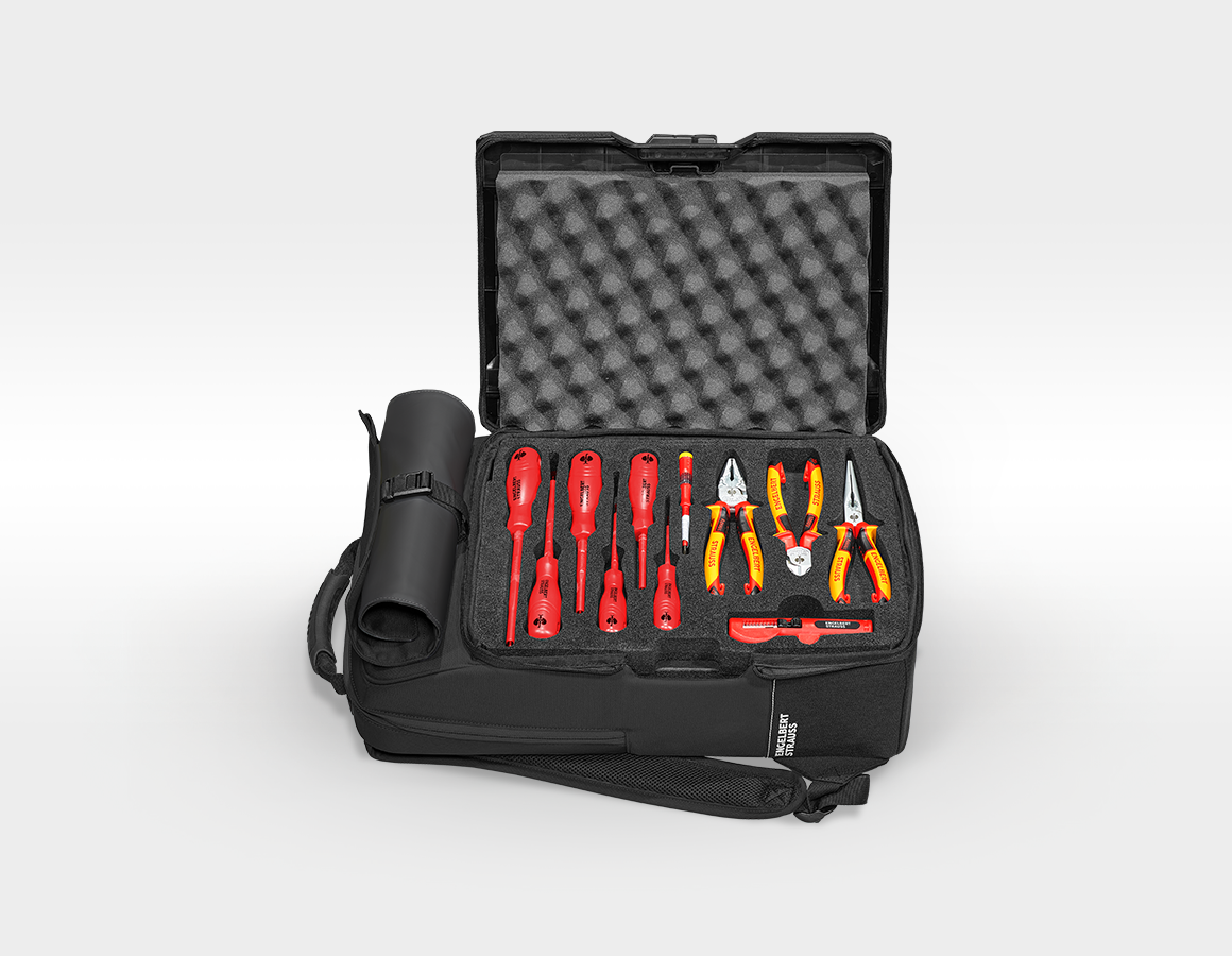 Einlage Elektro Classic + STRAUSSbox Rucksack