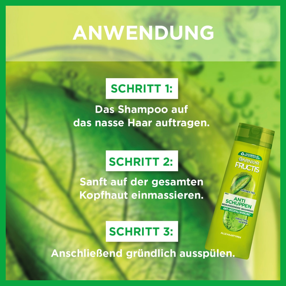 Shampoo Anti-Schuppen Classic, 300 ml