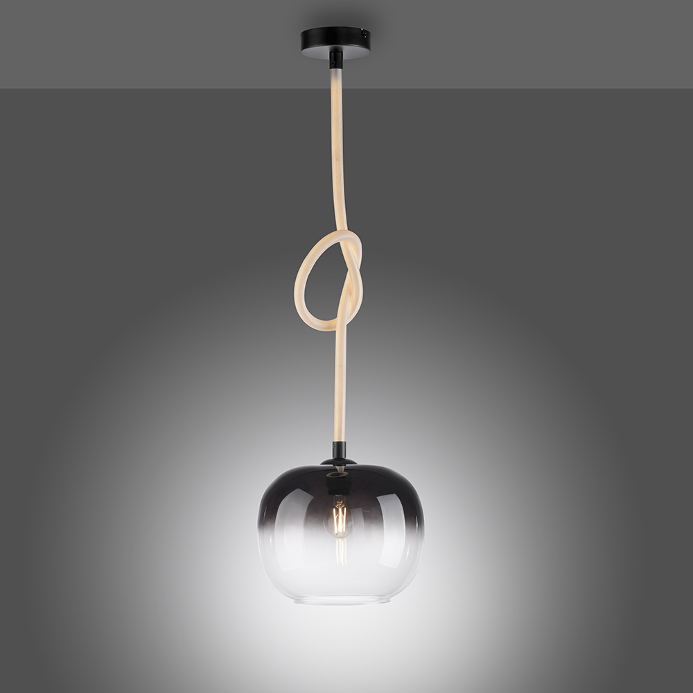 Paul Neuhaus Pendelleuchte LUMA, 1x E27/40Watt max., 1x LED-Board/12,50Watt, Schwarz