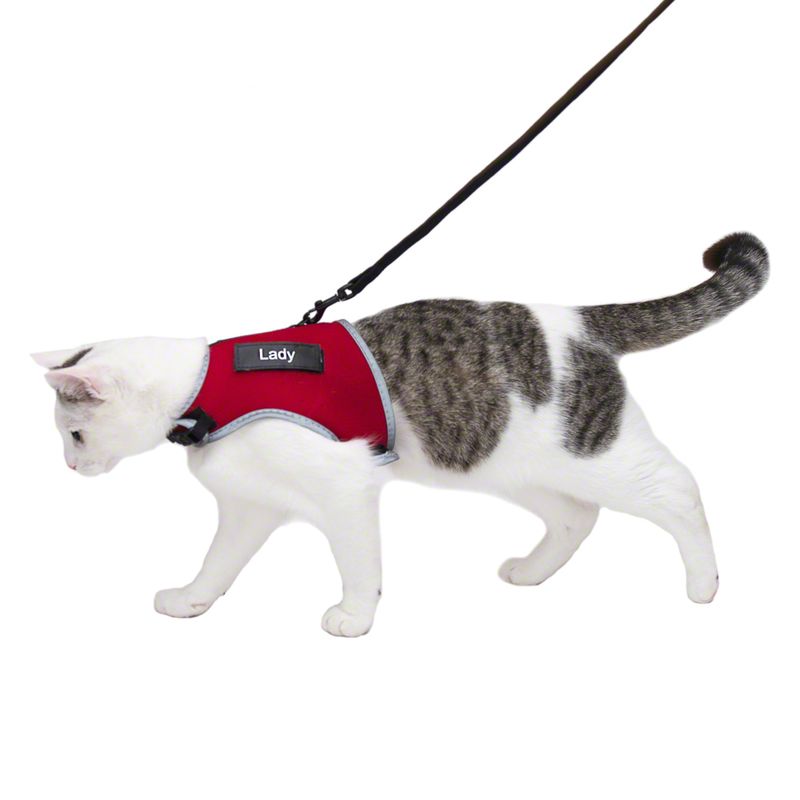 Katzenhalsband + Katzengeschirr zum Discountpreis bei bitiba: Trixie Katzengeschirr XCat mit Sticker und Leine, rot