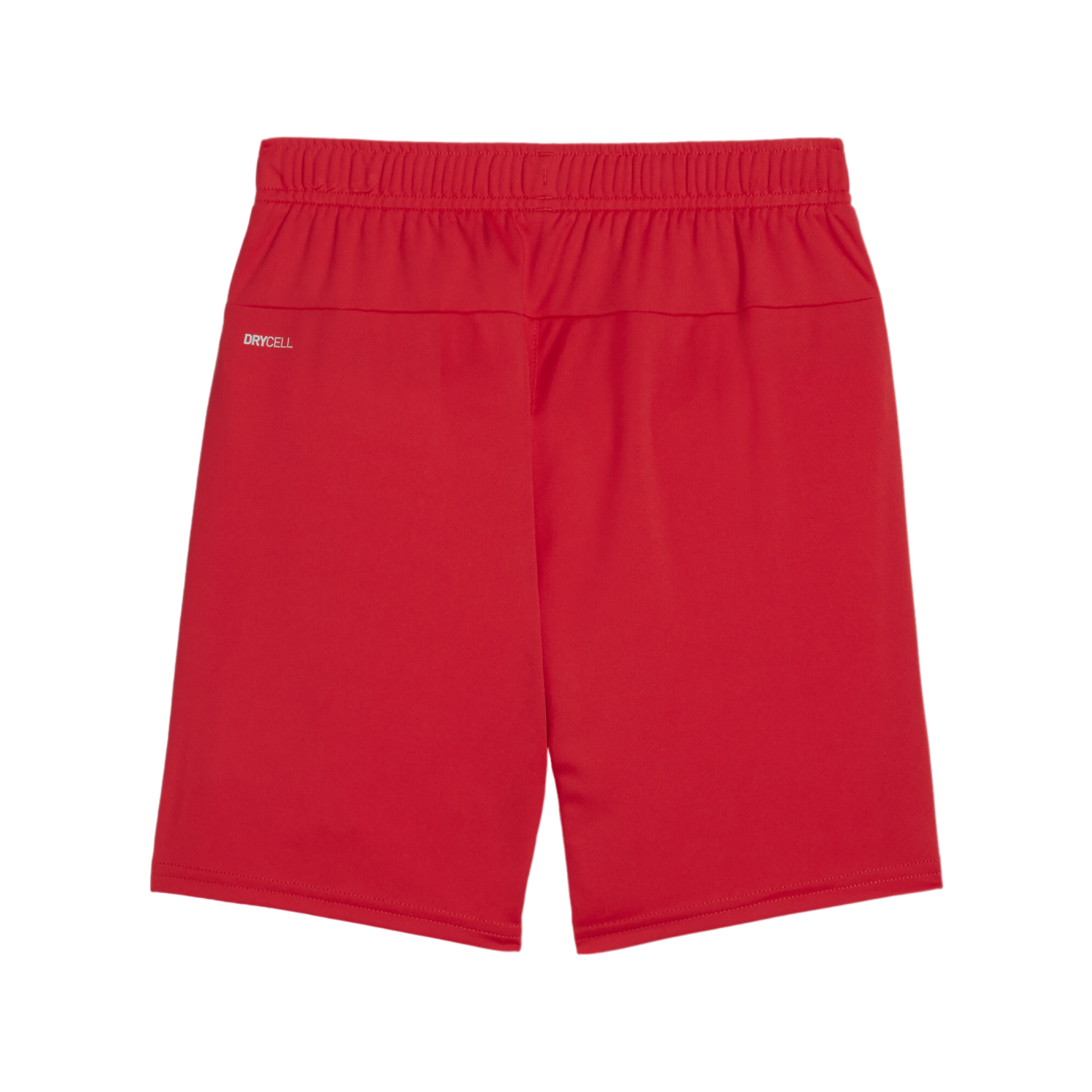 PUMA teamGOAL Short Kids Rot Weiss F01