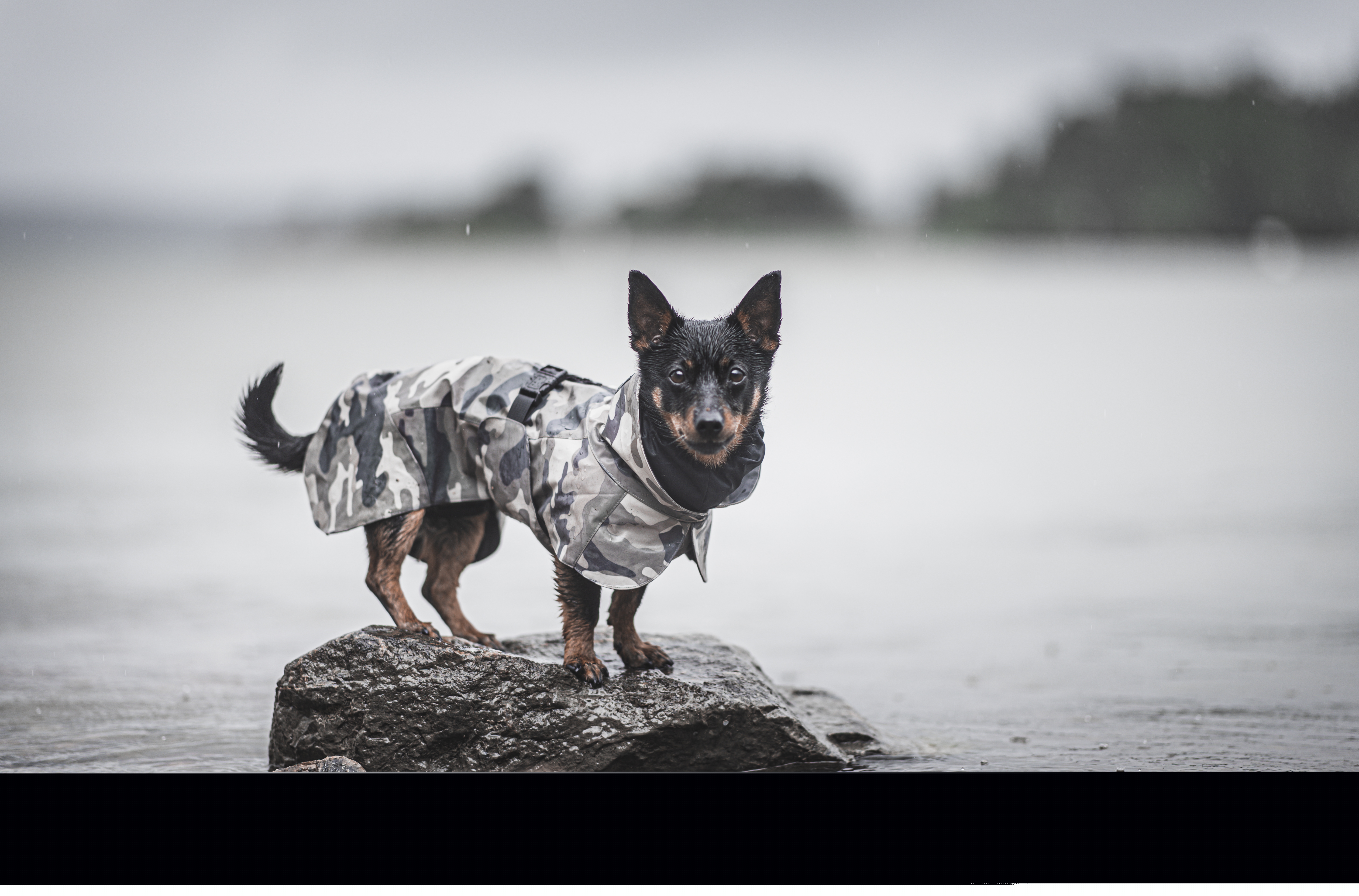 Paikka Hundemäntel Paikka Recovery Raincoat camo 25 cm