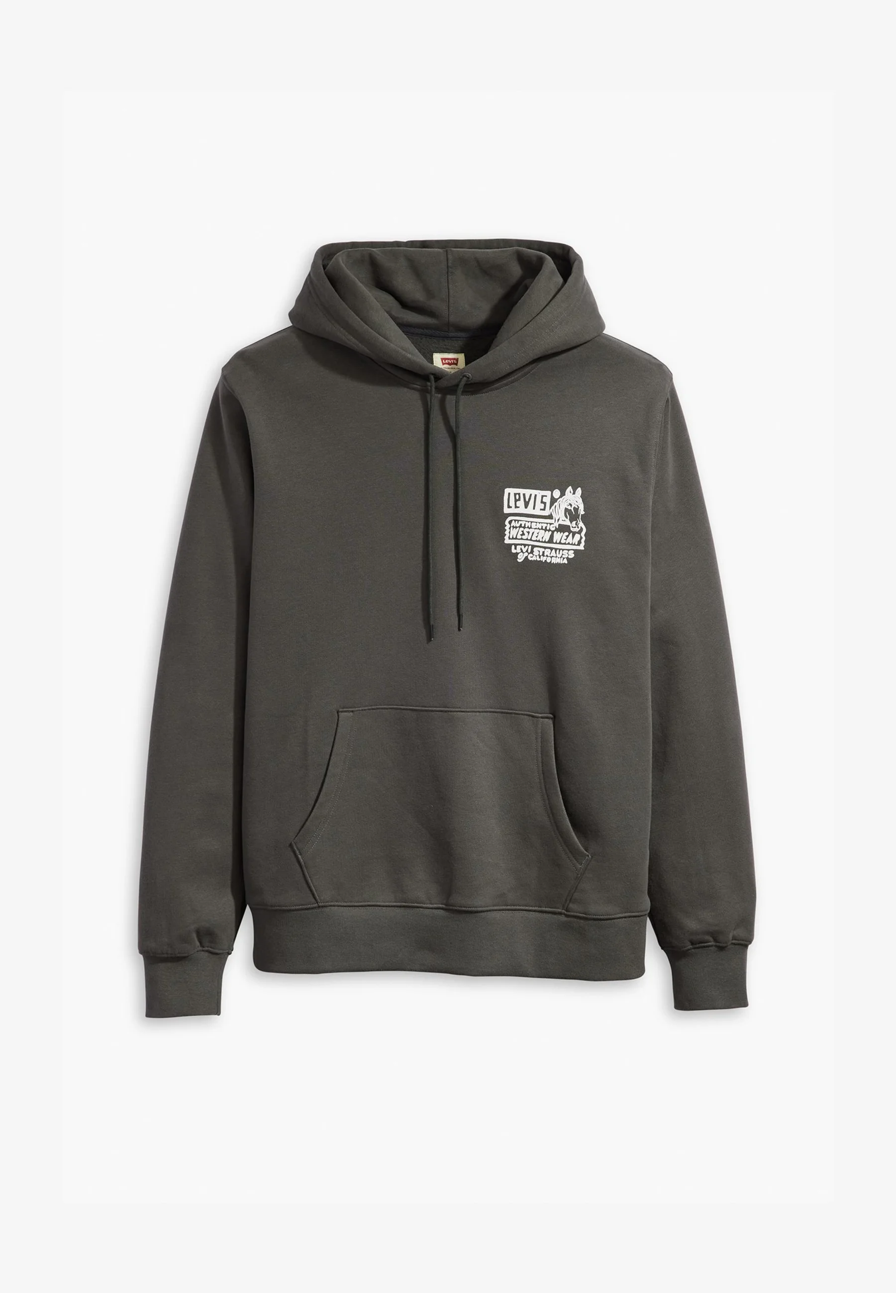Sudadera con capucha Levi's® STANDARD GRAPHIC - Sudadera con capucha