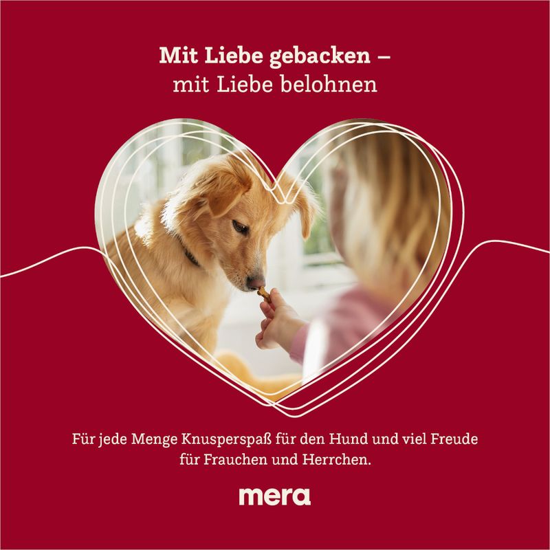 mera Bakery Snacks Puppy Knochen Mix
