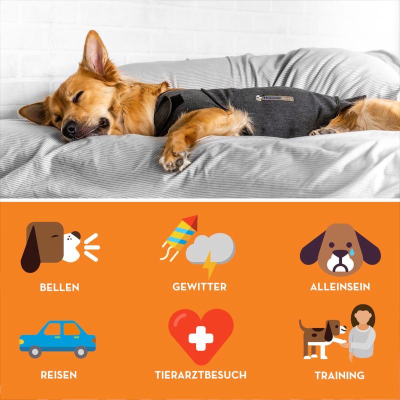 ThunderShirt Beruhigungsweste, grau zu TOP-Preisen