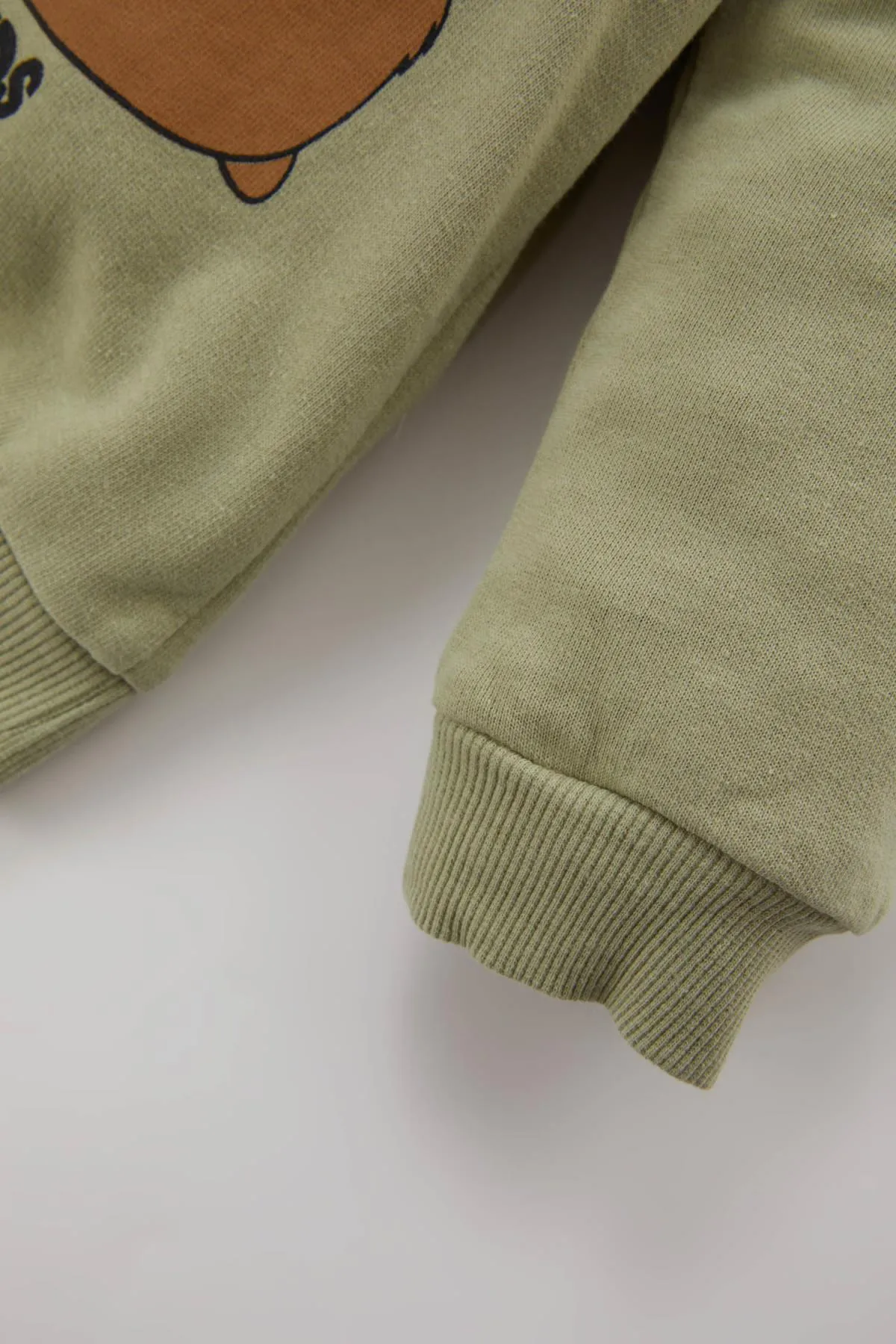 DeFacto  Bedrucktes, weich gefüttertes Sweatshirt mit Rundhalsausschnitt für Babys (Jungen).