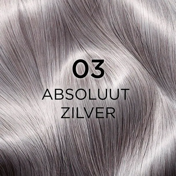 L'Oréal Paris Cool Silver 3 Absolute Silver Revitalizing Silver Care
