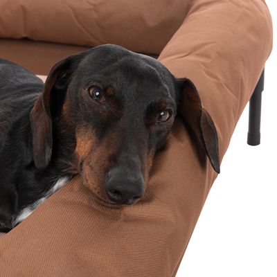 TIAKI Hundesofa Sun Cream