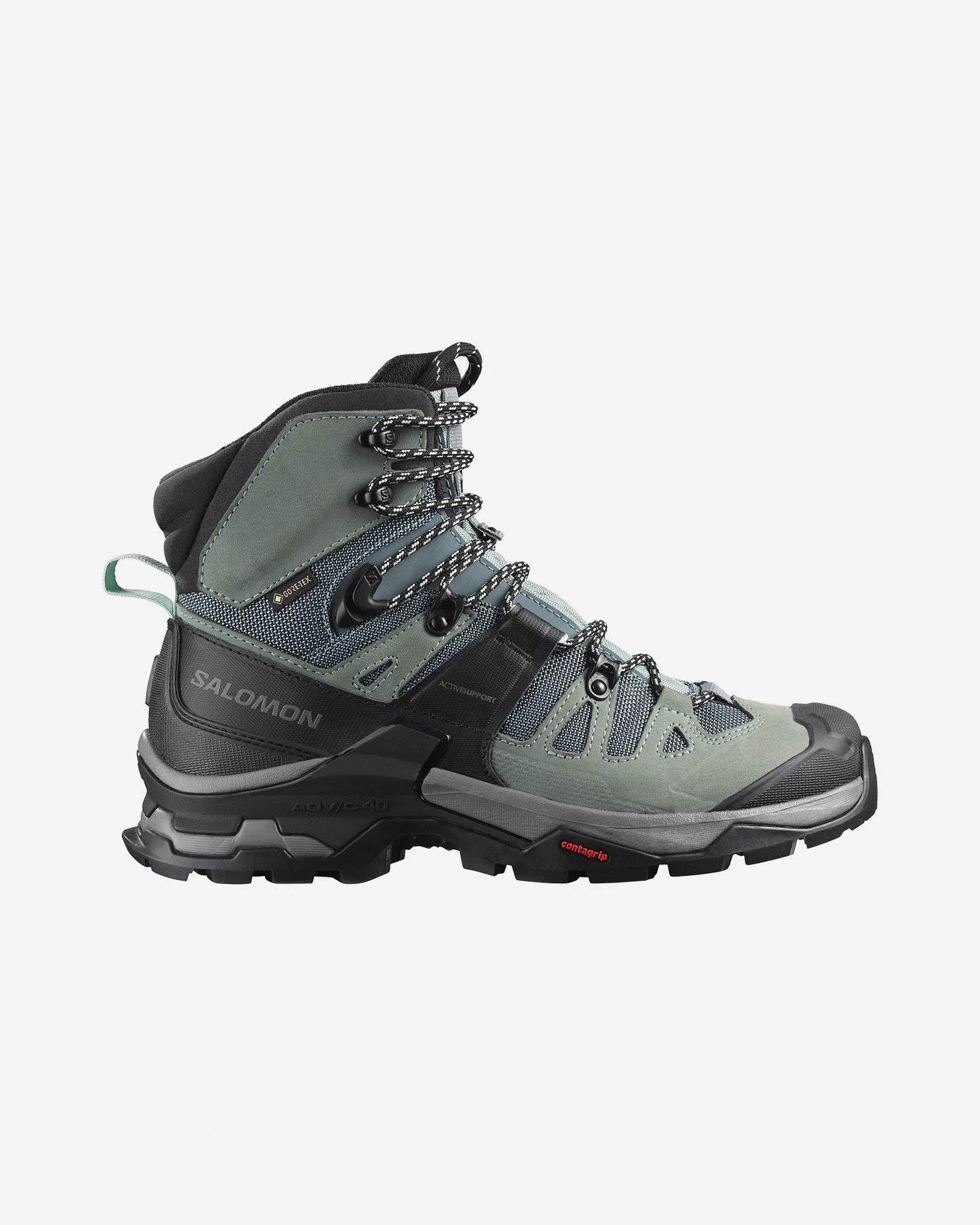 Alpine Topánky Salomon Quest 4 Gtx W L41387000