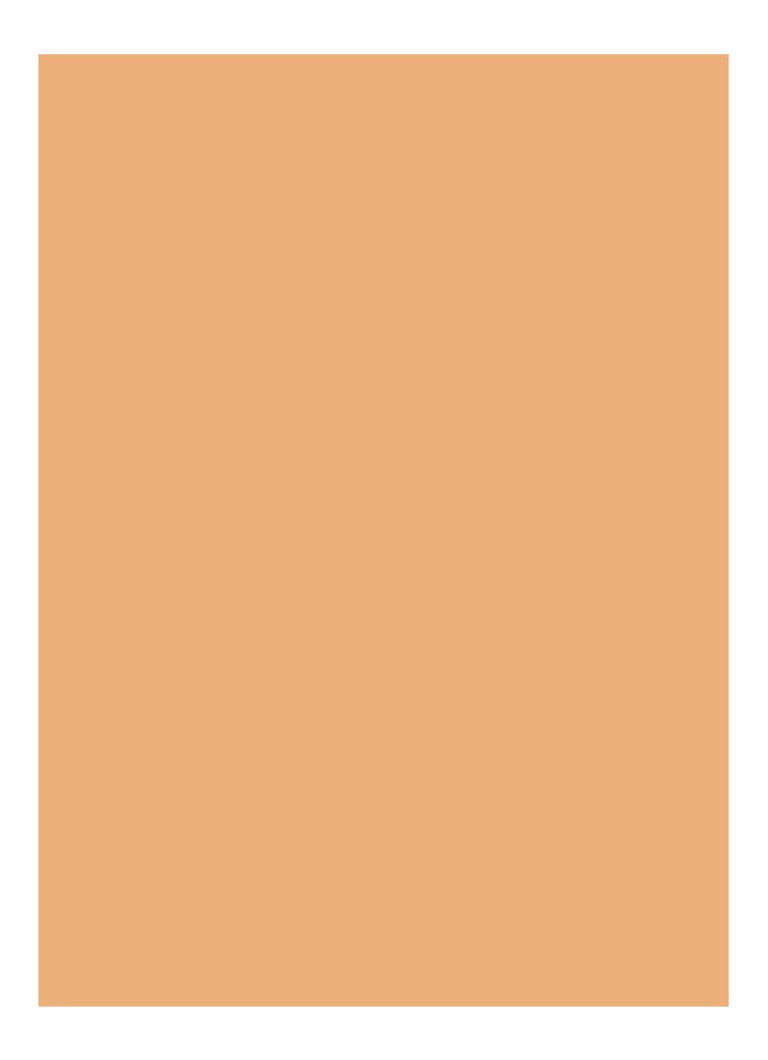 Corector Bobbi Brown Skin Full Coverage